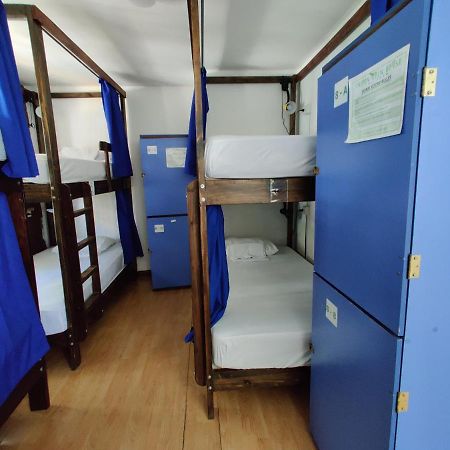 Tripon Open House Hostel San Jose  Bagian luar foto