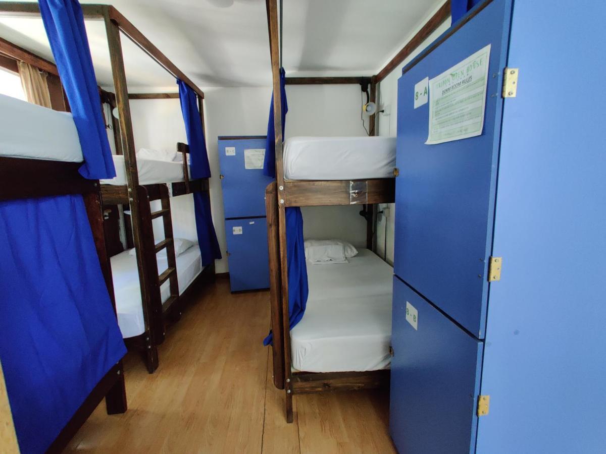 Tripon Open House Hostel San Jose  Bagian luar foto