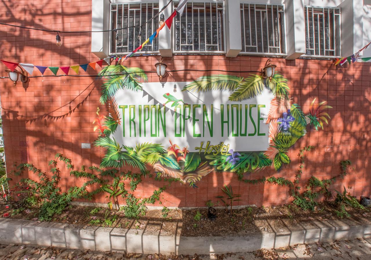 Tripon Open House Hostel San Jose  Bagian luar foto