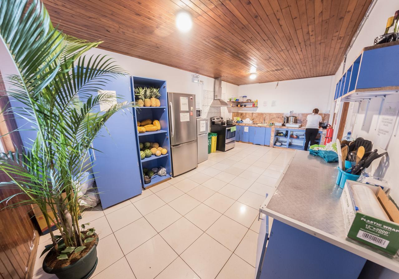 Tripon Open House Hostel San Jose  Bagian luar foto
