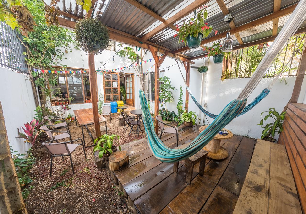 Tripon Open House Hostel San Jose  Bagian luar foto