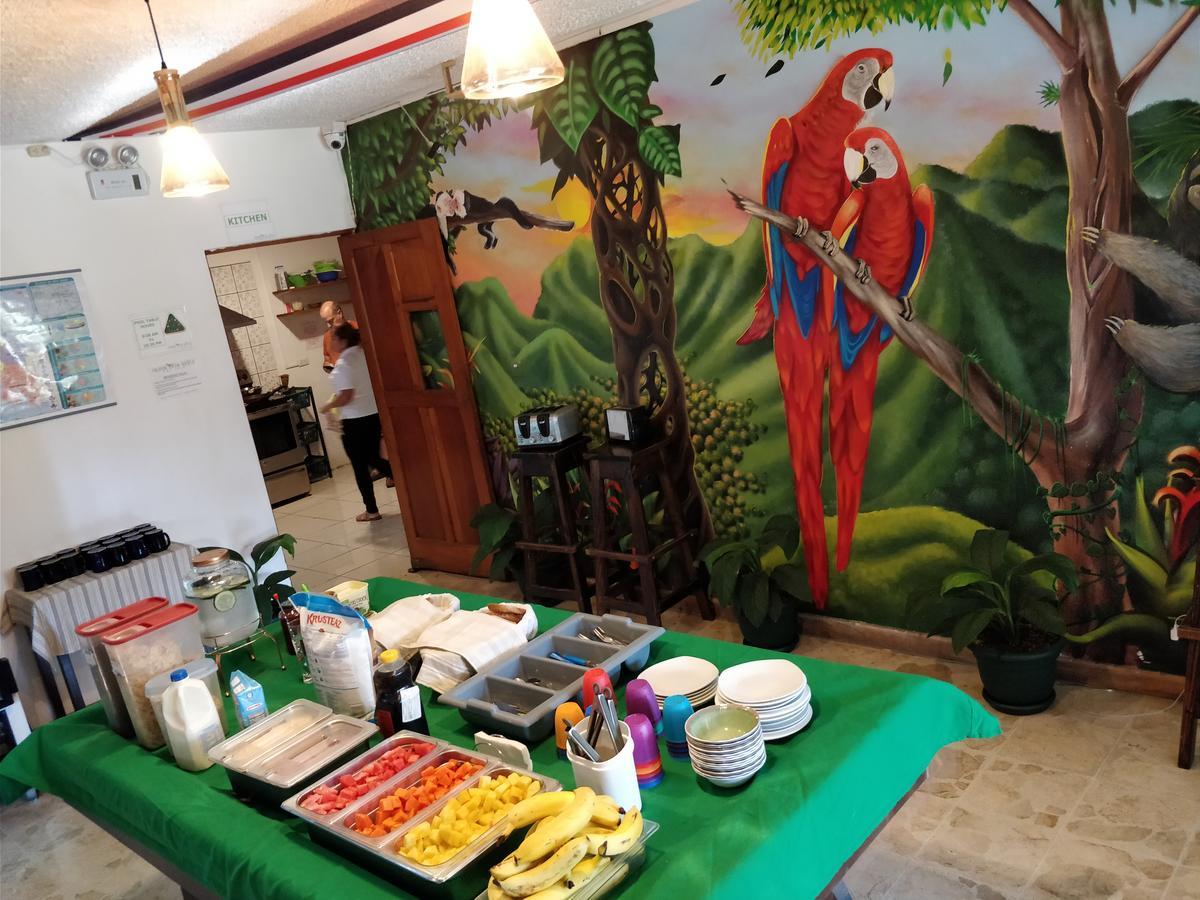 Tripon Open House Hostel San Jose  Bagian luar foto