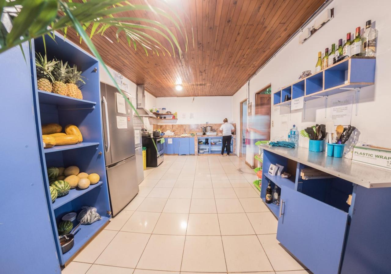Tripon Open House Hostel San Jose  Bagian luar foto