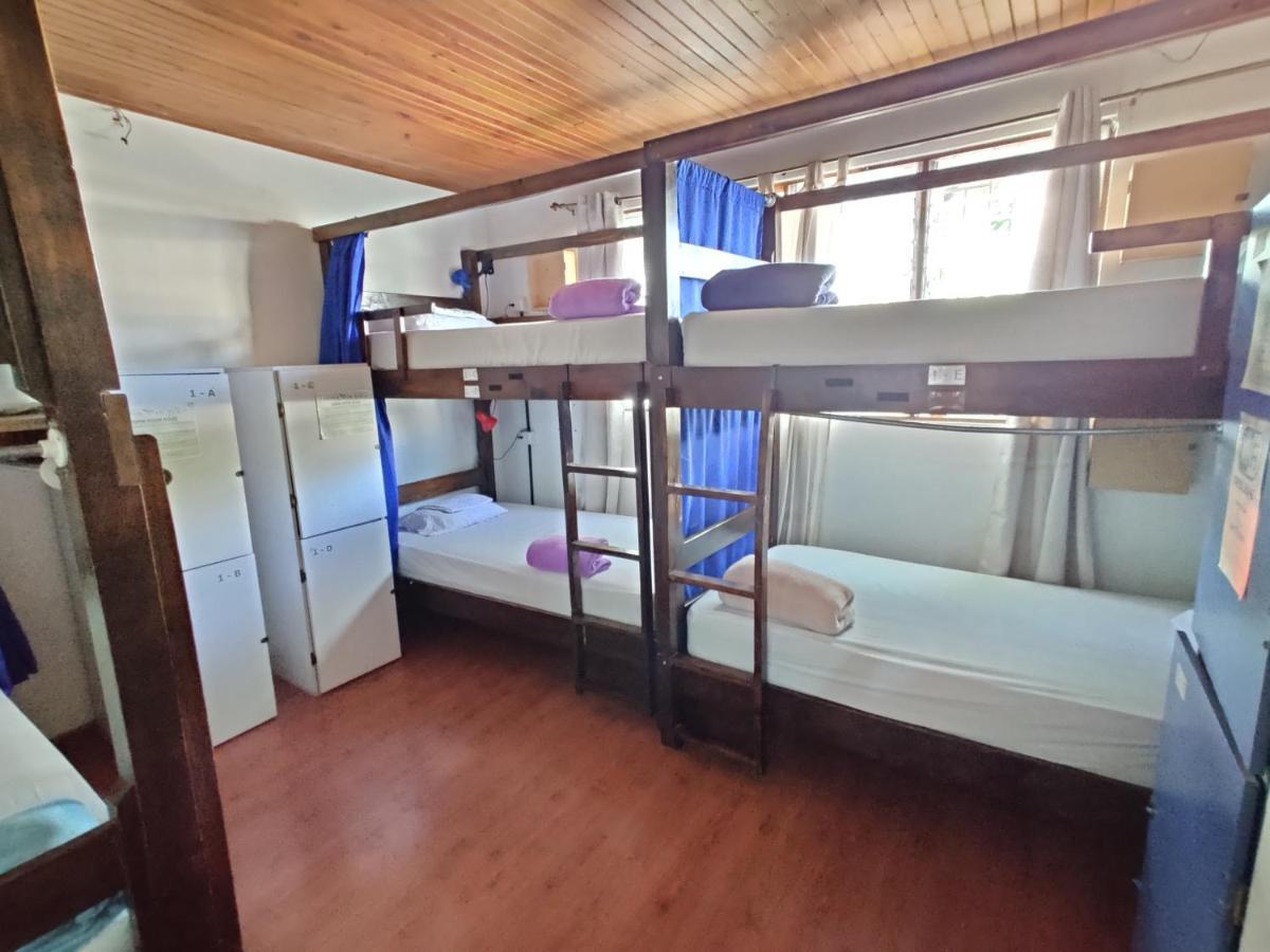 Tripon Open House Hostel San Jose  Bagian luar foto