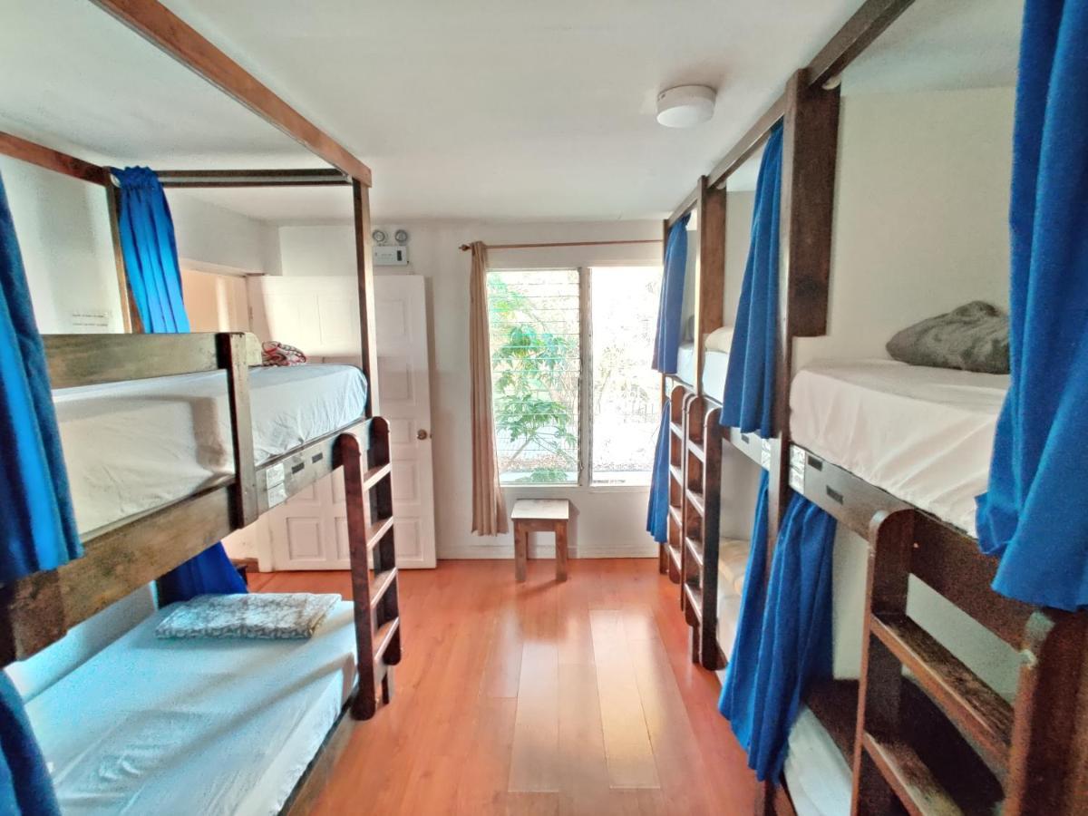 Tripon Open House Hostel San Jose  Bagian luar foto