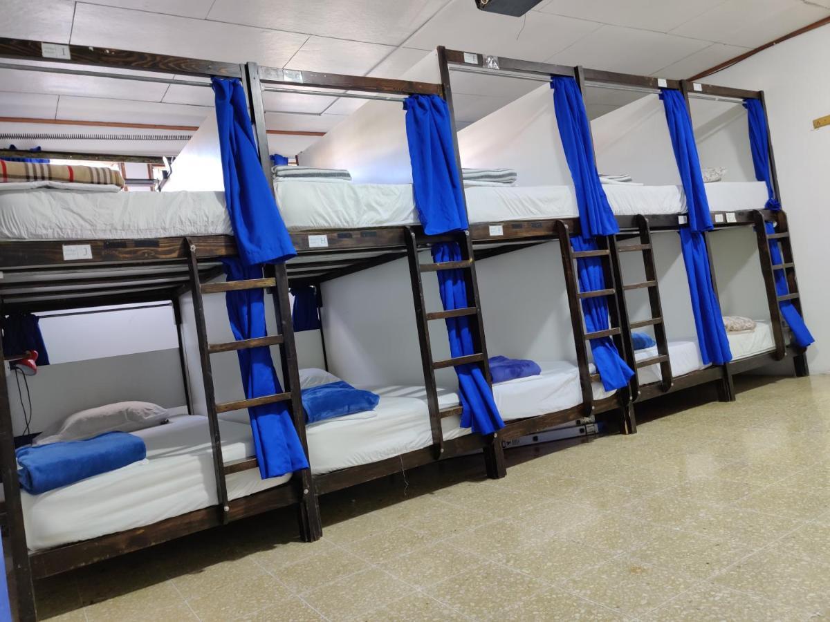 Tripon Open House Hostel San Jose  Bagian luar foto