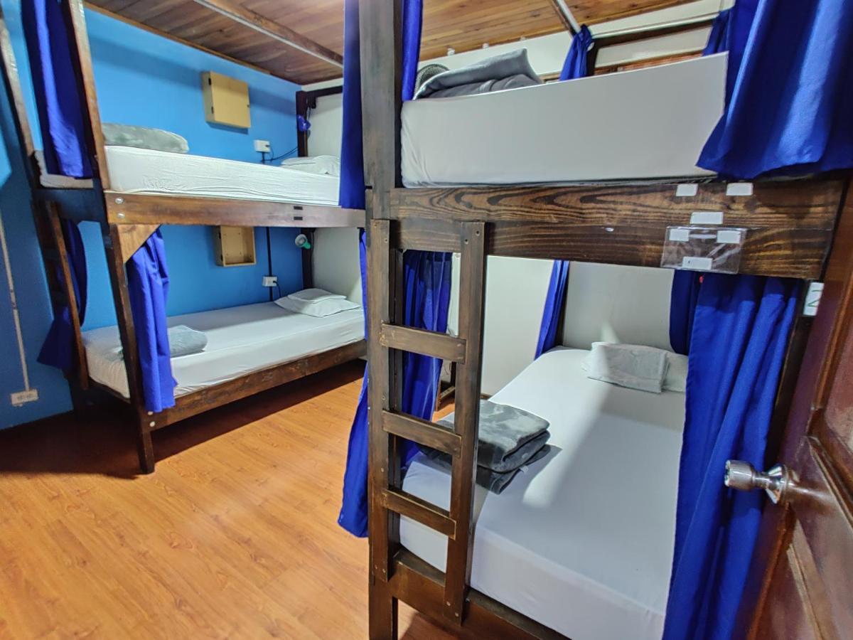 Tripon Open House Hostel San Jose  Bagian luar foto